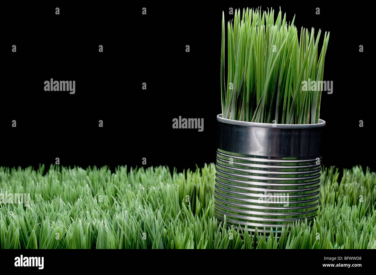 Erba verde crescente da un alluminio riciclato può sull'erba Foto Stock