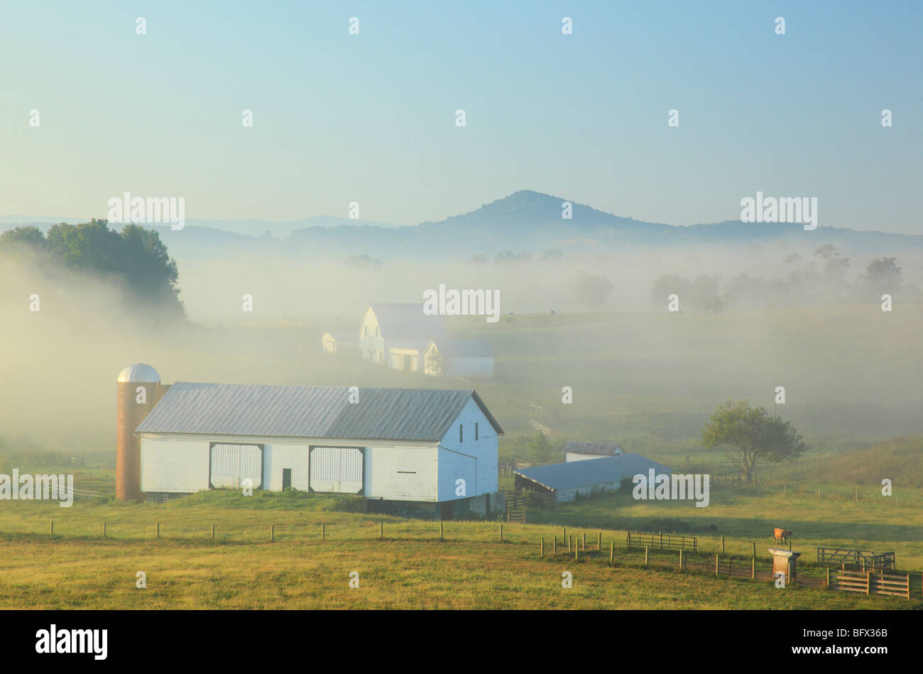 Agriturismo a Swoope nella nebbia mattutina, Shenandoah Valley, Virginia Foto Stock