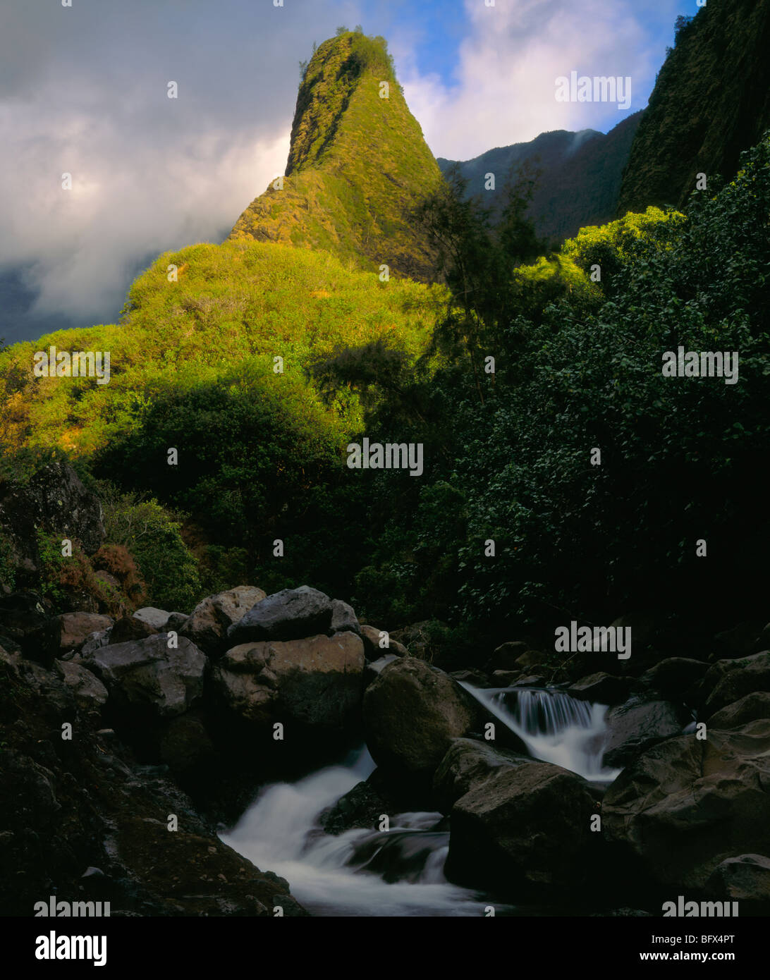 Iao ago, Iao Valley State Park, Maui, Hawaii Foto Stock