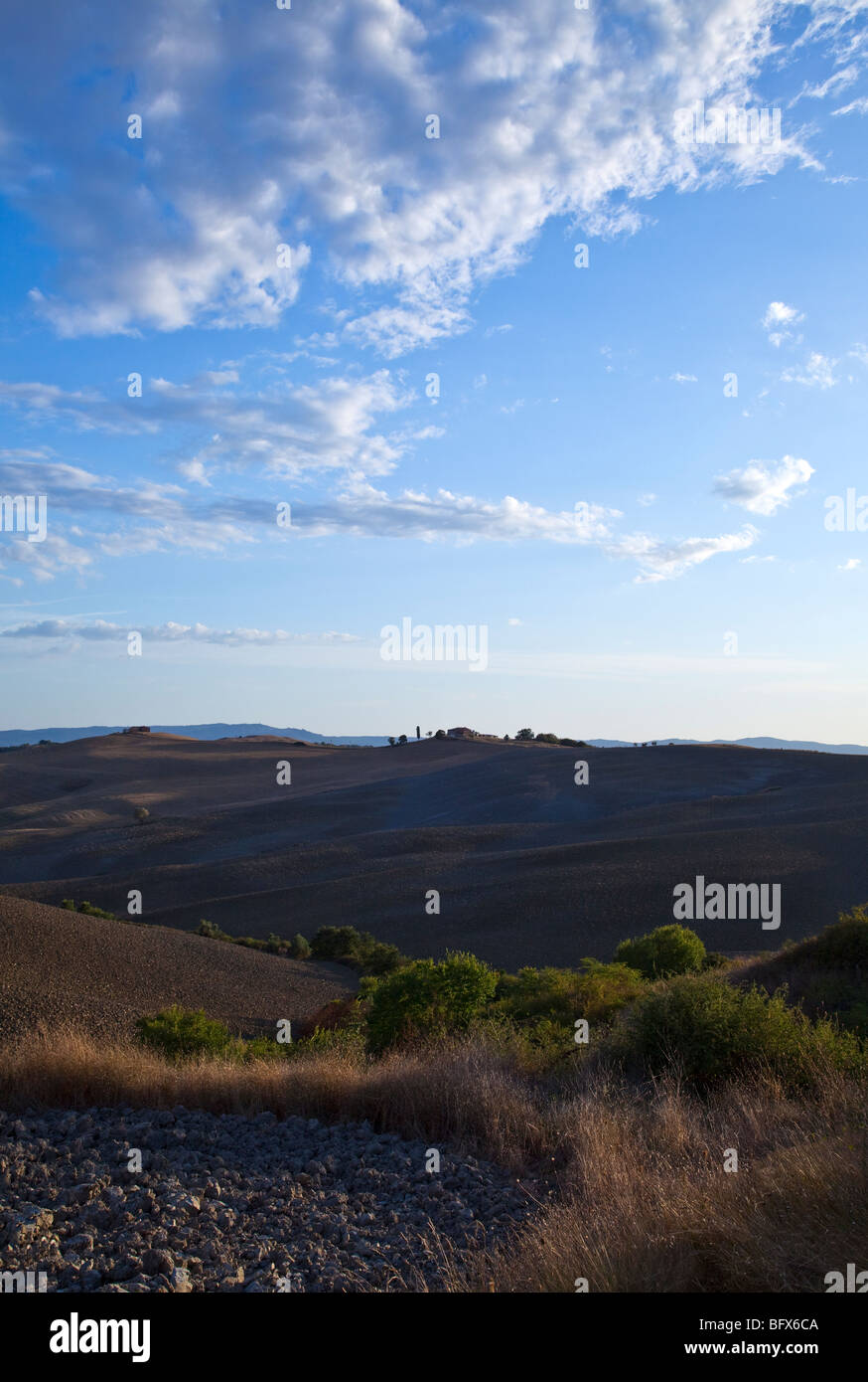 L'Italia,Toscana,in provincia di Siena,le Crete Senesi,un terreno argilloso territorio agricolo Foto Stock