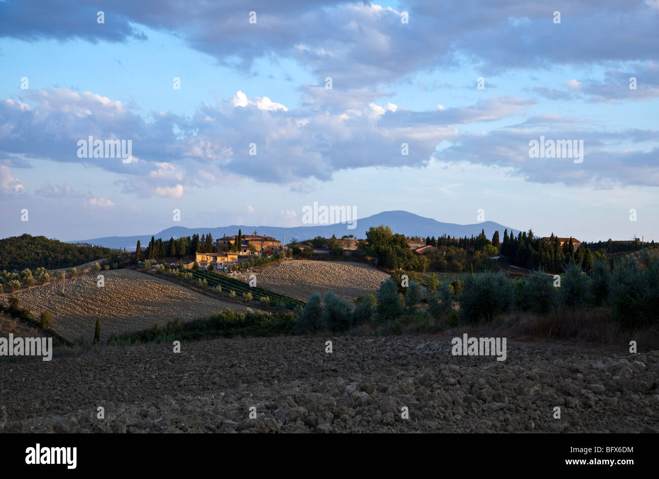 L'Italia,Toscana,in provincia di Siena,le Crete Senesi,un terreno argilloso territorio agricolo Foto Stock