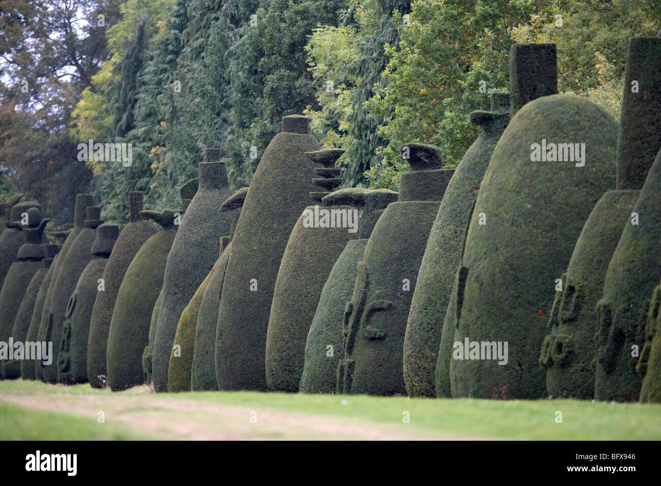 L'albero di Yew Avenue a Clipsham,Rutland una collezione off 150 ritagliati yew alberi di oltre 200 anni Foto Stock