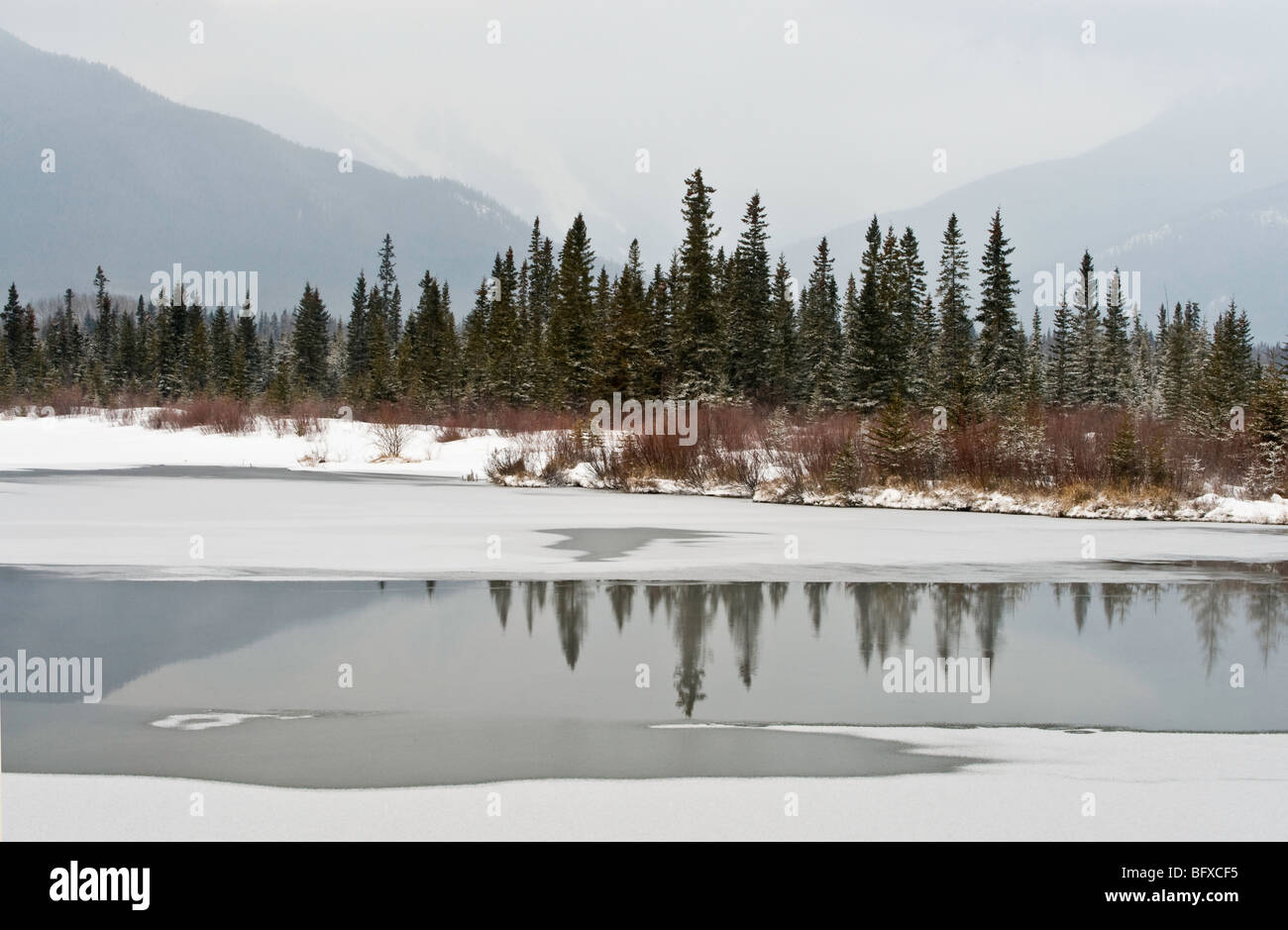 Vermiglio laghi scenic con riflessioni, il Parco Nazionale di Banff, Alberta, Canada Foto Stock