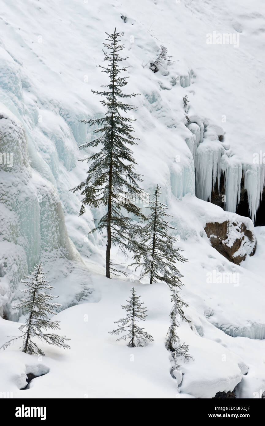 Dettagli del Canyon Johnston con neve fresca nel tardo inverno, il Parco Nazionale di Banff, Alberta, Canada Foto Stock