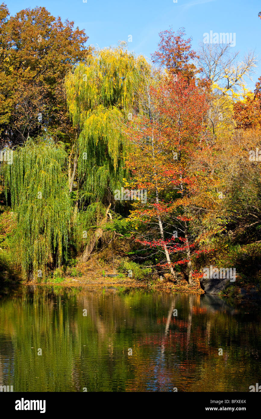 Alberi e il lago in autunno a Central Park a Manhattan New York Foto Stock