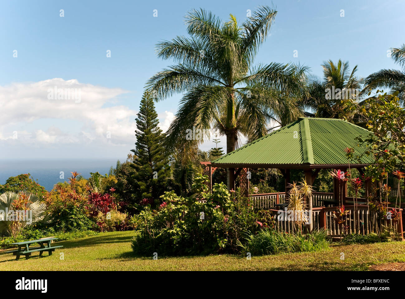 Oceano Pacifico vista dal giardino di Eden sulla strada di Hana, Maui Hawaii Foto Stock