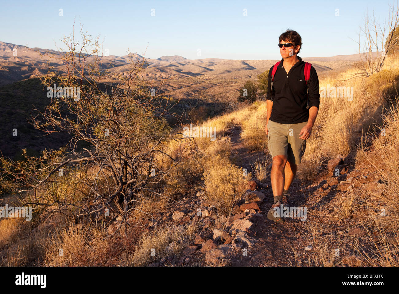 Escursionismo sulla vista Trail, Muleshoe Ranch, Arizona Foto Stock