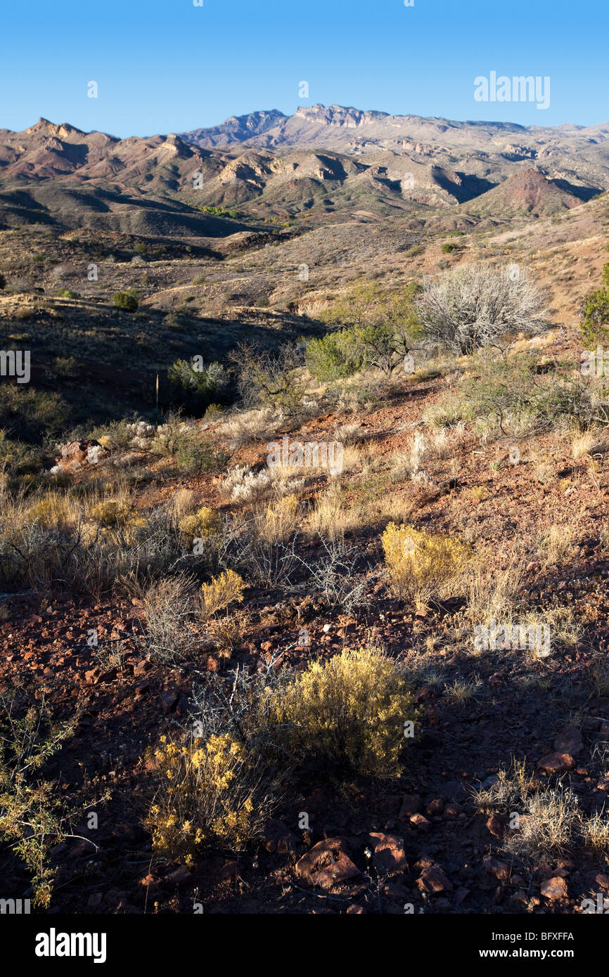 Monti Galiuro visto lungo la scenografica vista Trail, Muleshoe Ranch, Arizona Foto Stock