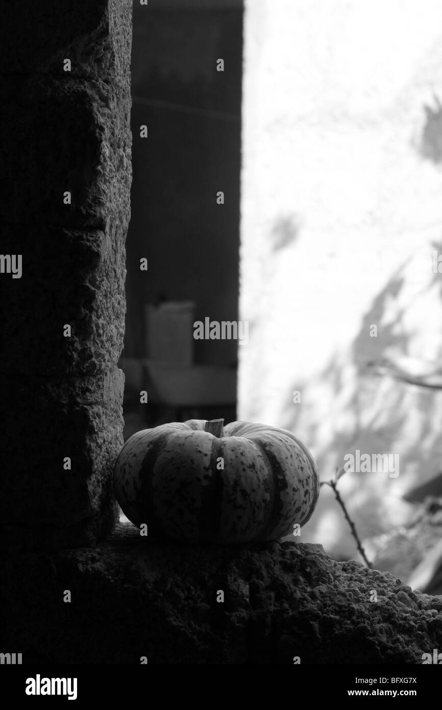 La Zucca in una finestra Foto Stock