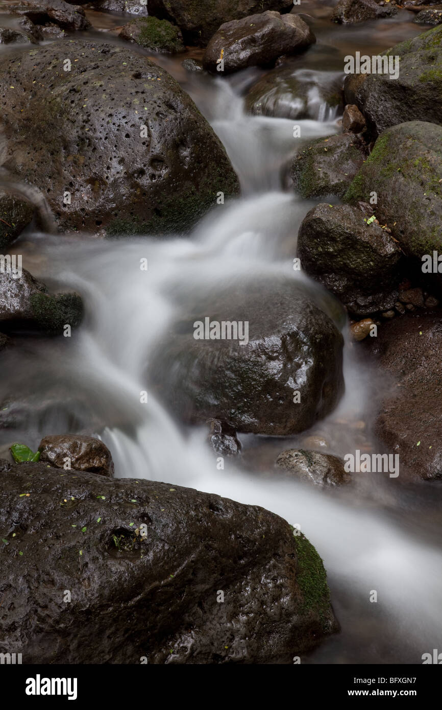 Una lunga esposizione di un flusso. Soft acqua corrente Foto Stock