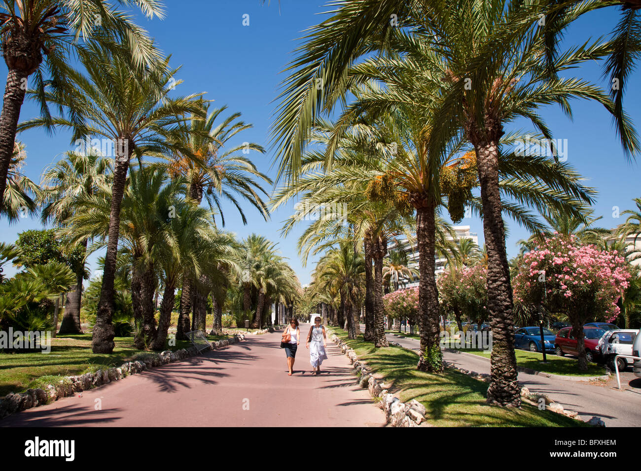 Gli escursionisti lungo il palm alberata Croisette, Cannes, Cote d'Azur, in Francia Foto Stock