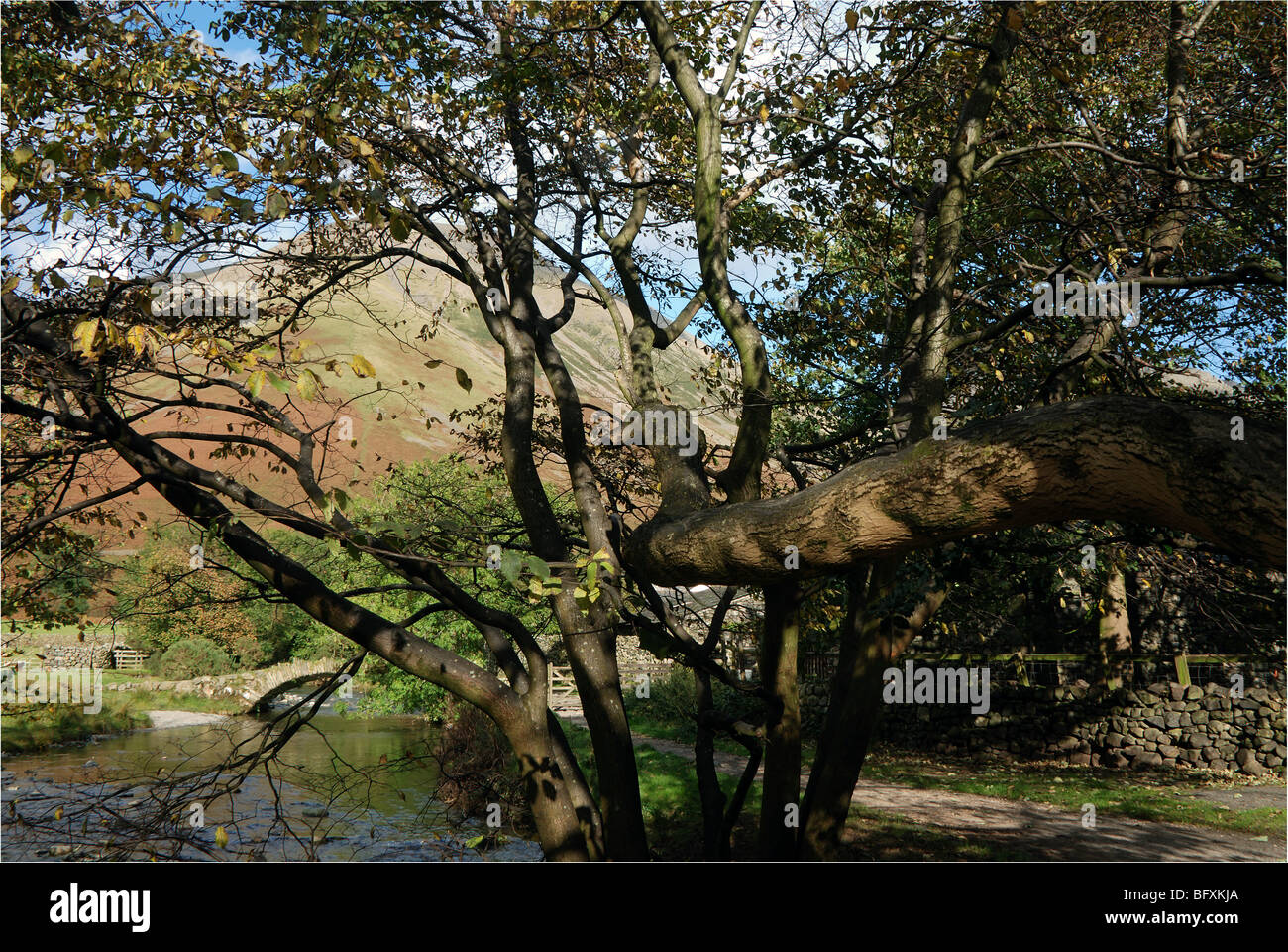 Kirk è sceso dietro gli alberi Foto Stock