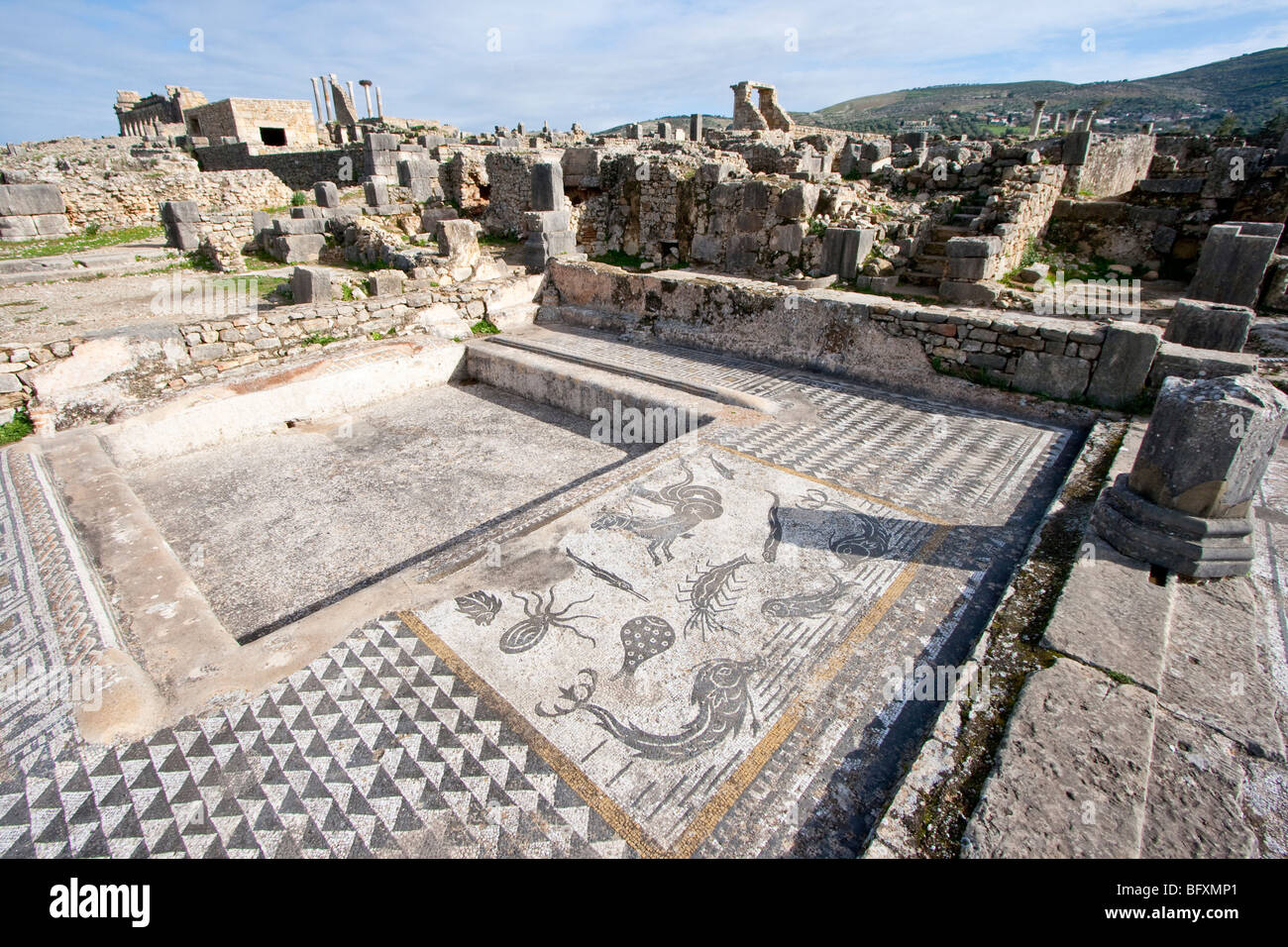 Carro di Anfitrite trainato da un mosaico di cavalluccio marino a casa di Orfeo in rovine Romane di Volubilis Marocco Foto Stock