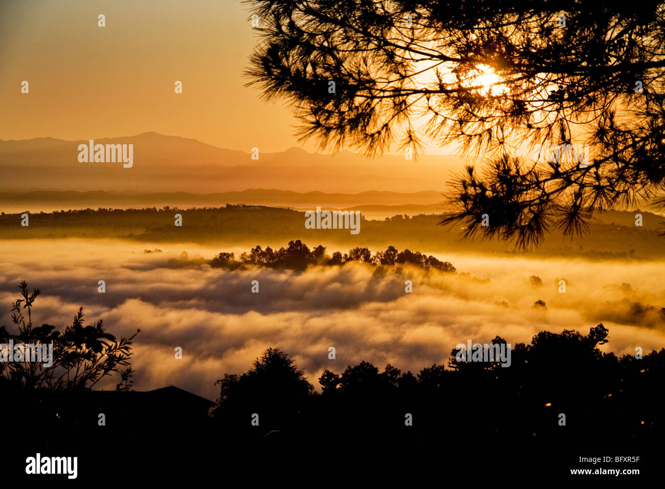 Sole di mattina si illumina e inizia a evaporare nebbia pesante nella valle di corona, Laguna Niguel, California. Foto Stock