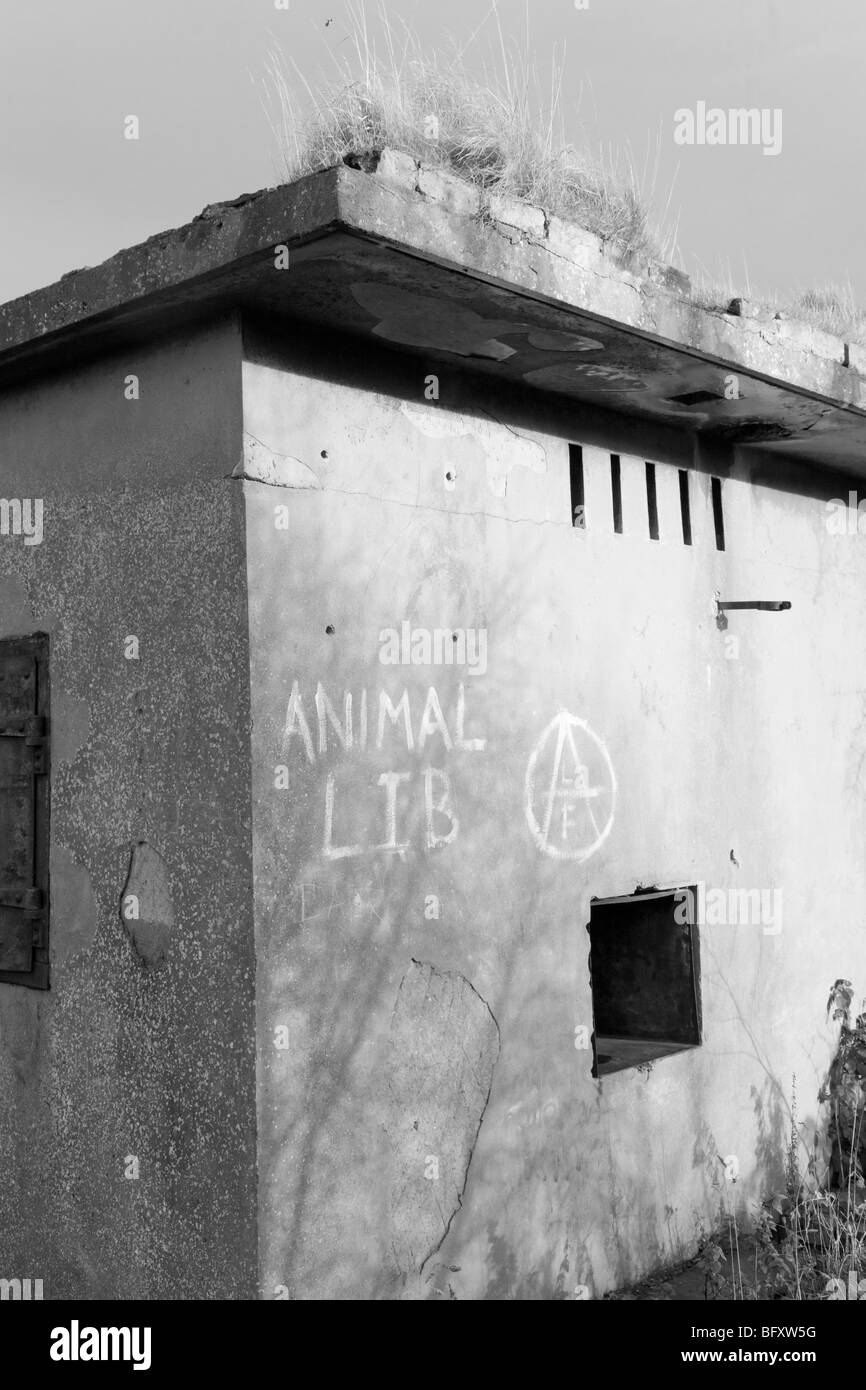 Animale Lib graffiti sul vecchio edificio militare, Isola Cramond Foto Stock