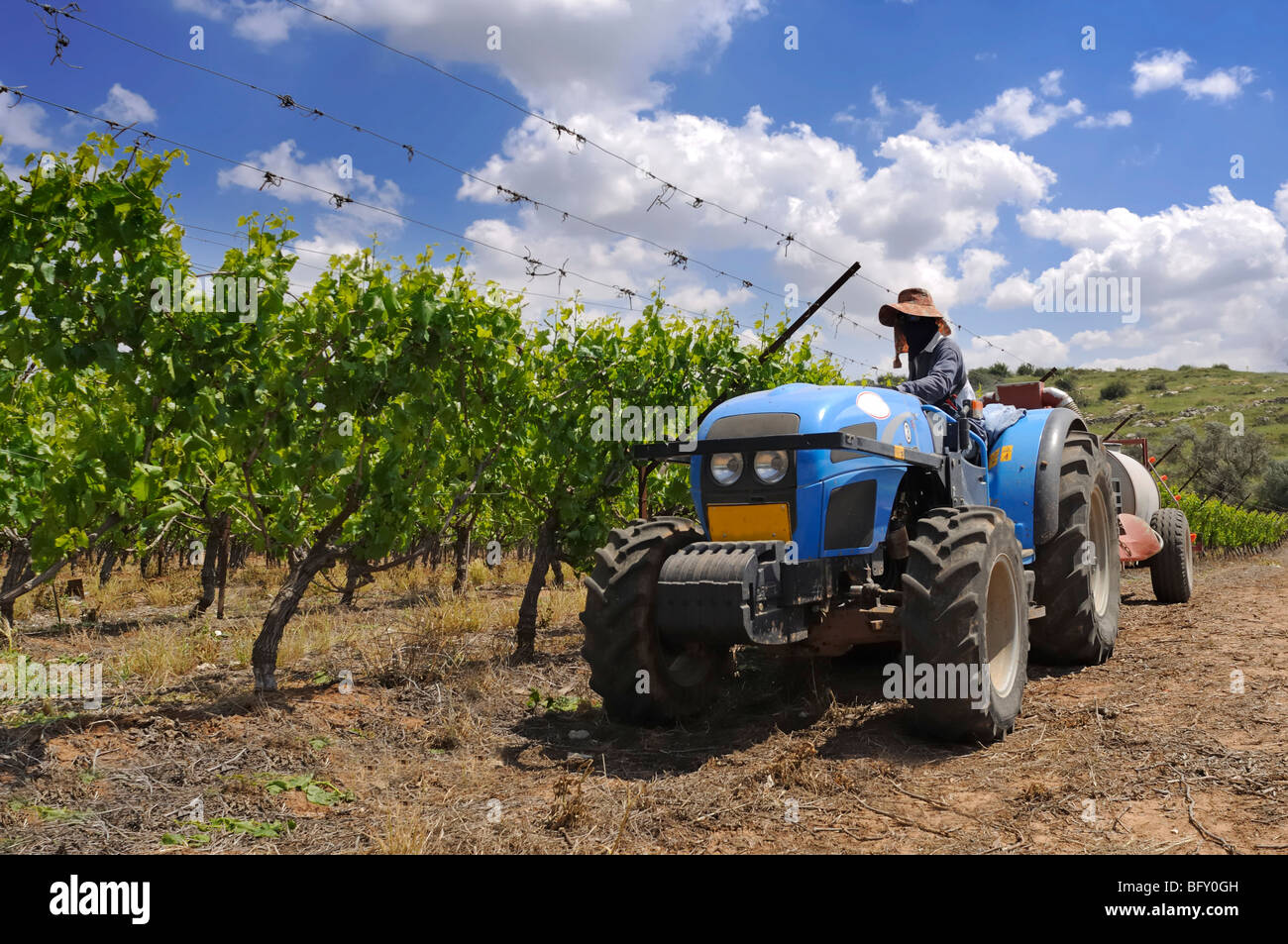 Israele Negev, Lakish Regione, vigneto, un trattore tira un serbatoio di antiparassitari Foto Stock
