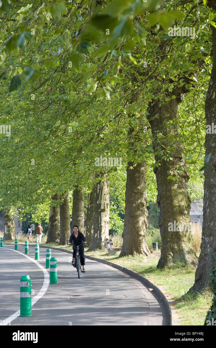 Ciclista sulle strade di Gand, Belgio, Europa Foto Stock