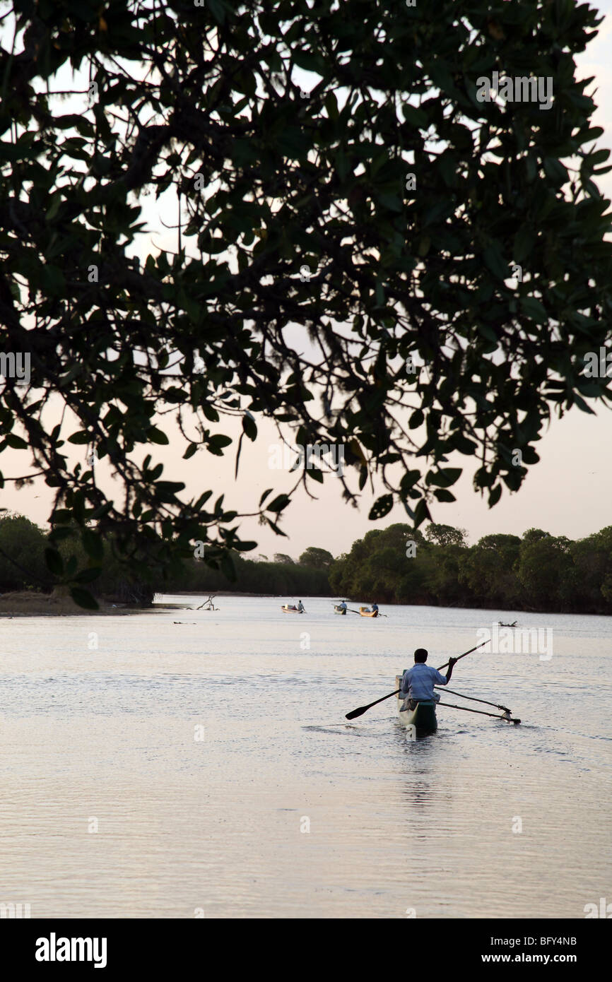Un pescatore in laguna. Pottuvil. Lo Sri Lanka. Foto Stock