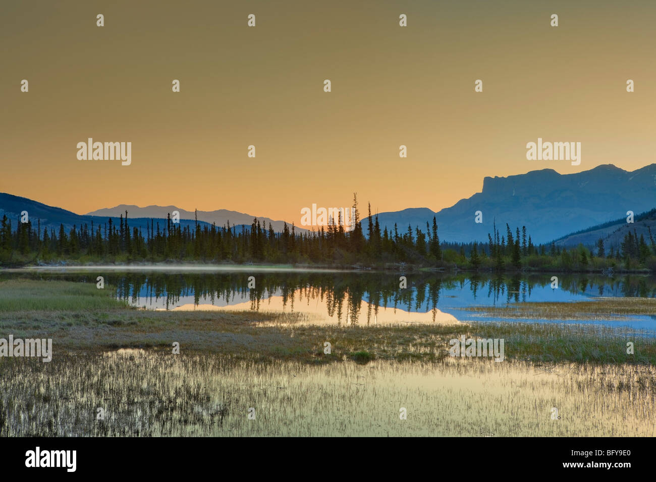 Sagome di montagna prima dell'alba, il Parco Nazionale di Jasper, Alberta, Canada Foto Stock