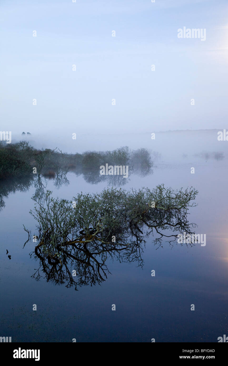 Stithians serbatoio di notte; con nebbia e chiaro di luna Foto Stock