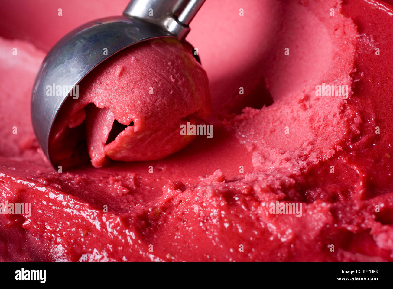 Il lampone delizioso gelato essendo raccolto fuori Foto Stock