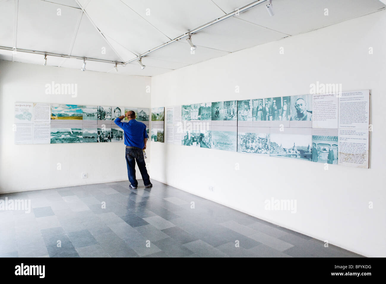 L'uomo la lettura sulla storia del Tibet in Museo del Tibet a Dharamsala, India. Foto Stock