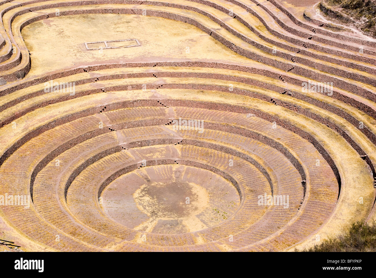 L'inca terrazzamenti agricoli, murene, Perù Foto Stock