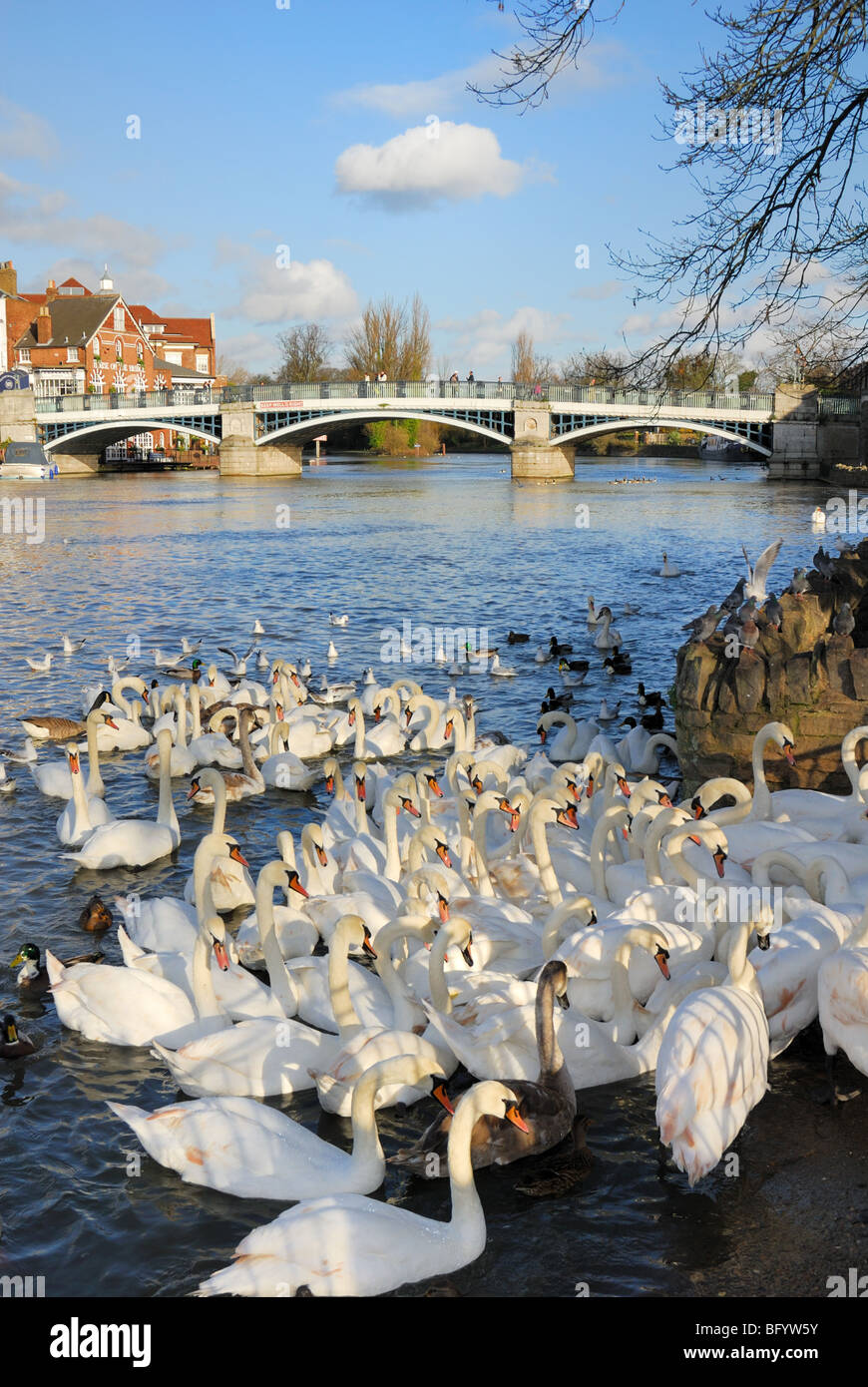 Ponte di Windsor Foto Stock