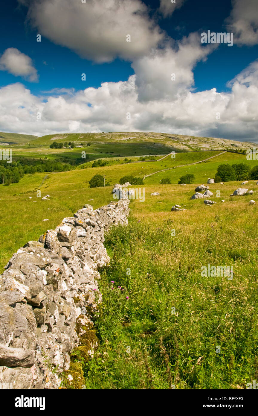 A SECCO tradizionale muro di pietra appena fuori Ingleton nel Yorkshire Dales. Foto Stock