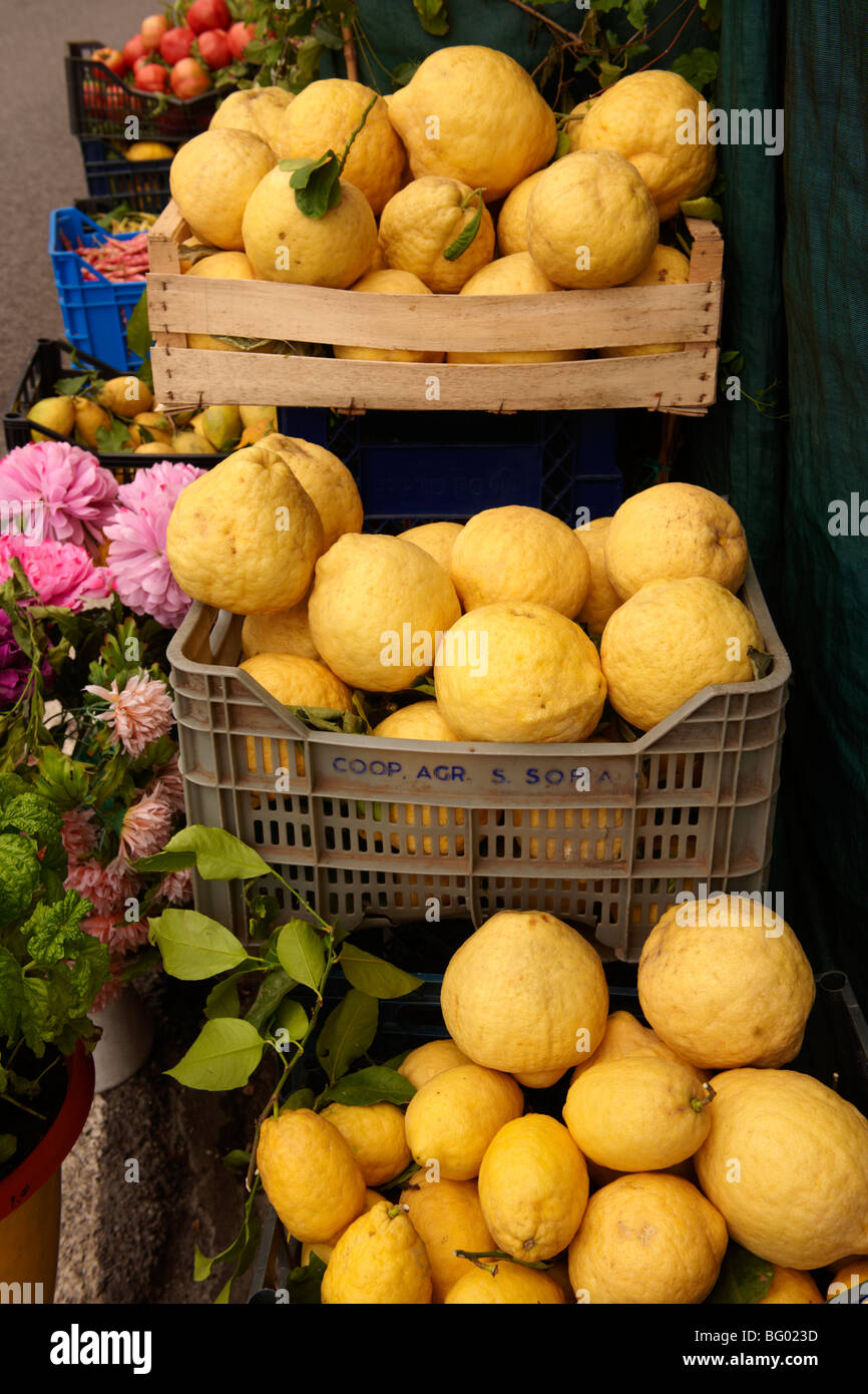 Amalfi di limoni in un mercato - Positano, Italia Foto Stock