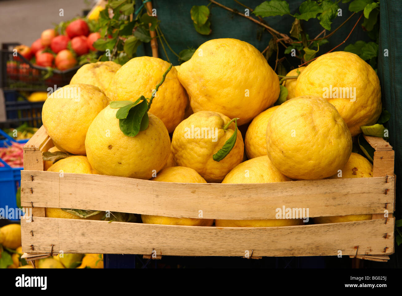 Amalfi di limoni in un mercato - Positano, Italia Foto Stock