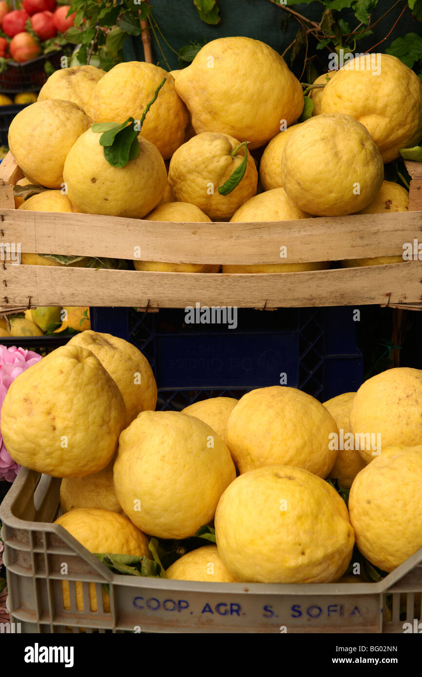 Amalfi di limoni in un mercato - Positano, Italia Foto Stock