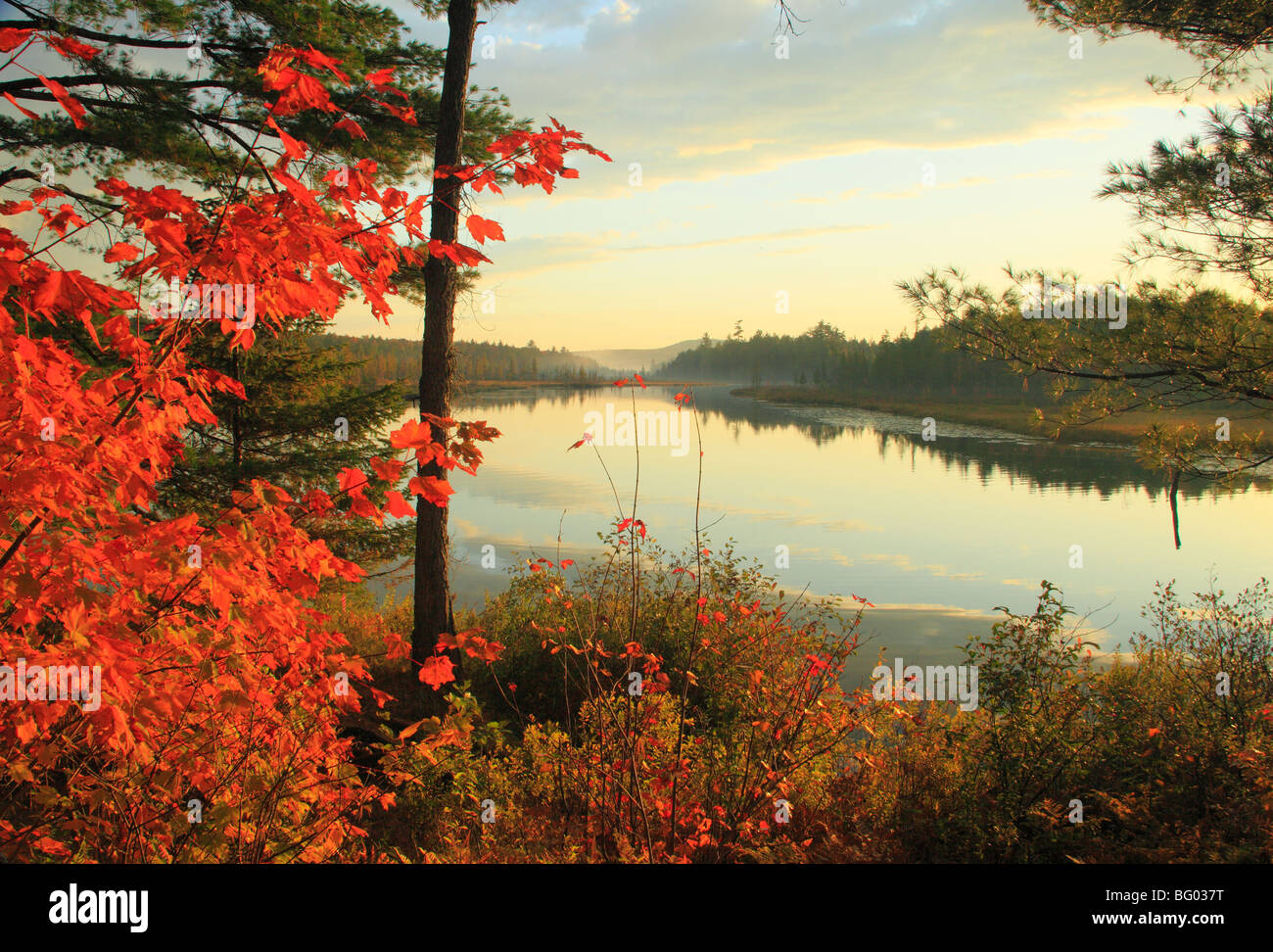 Raquette Lake ingresso, Golden Beach, Adirondacks, New York Foto Stock