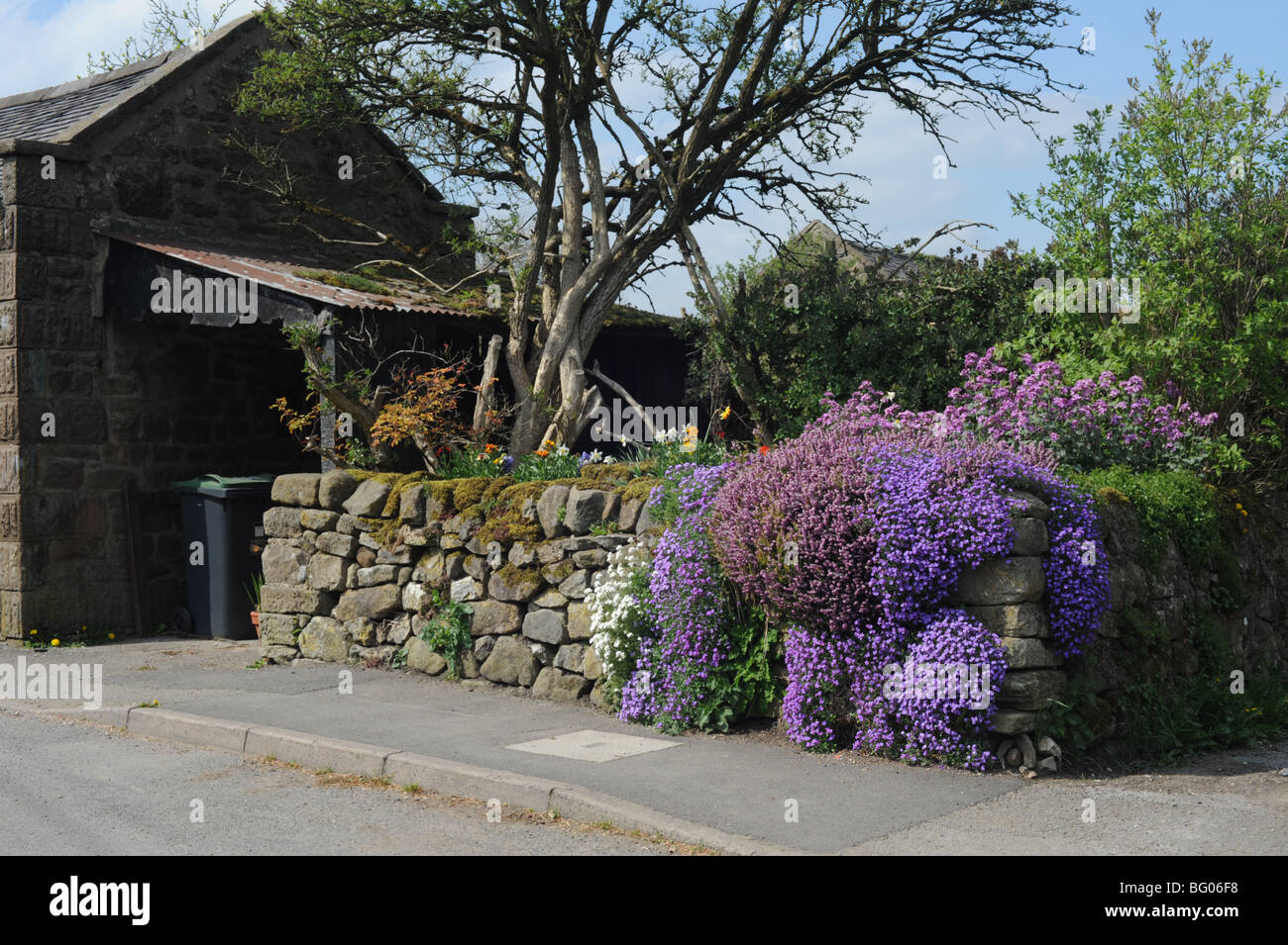 Colorfull giardino nel villaggio di Tideswell Peak District del Derbyshire Foto Stock