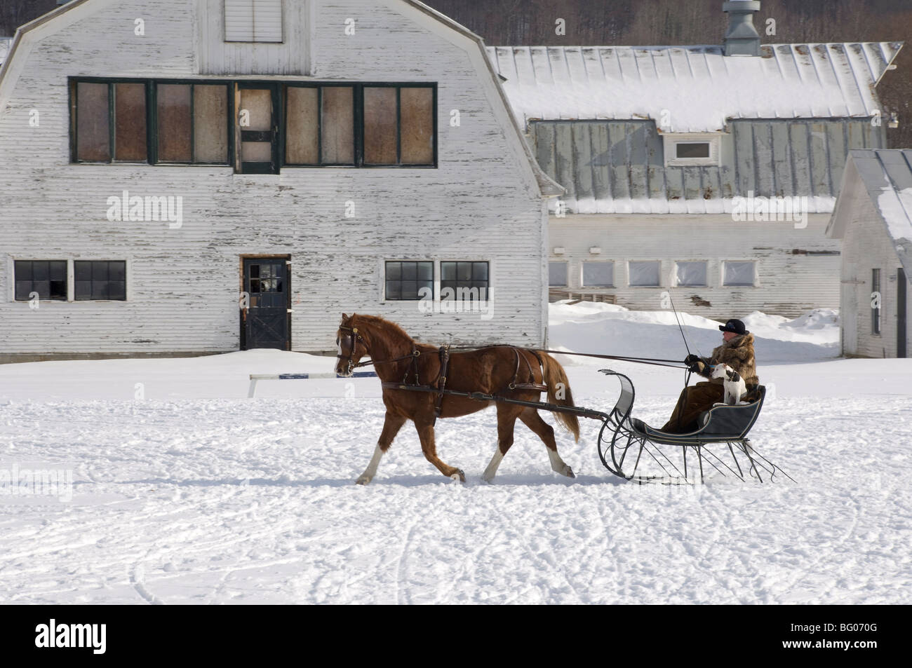 Una donna prendendo un cavallo e Sleigh Ride in Sud Woodstock, Vermont, New England, Stati Uniti d'America, America del Nord Foto Stock