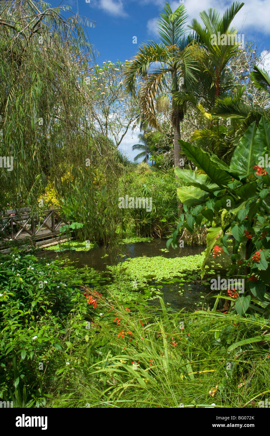 Pietre decorative in un mini stagno con piante e giglio pad in una giornata  estiva di sole Foto stock - Alamy