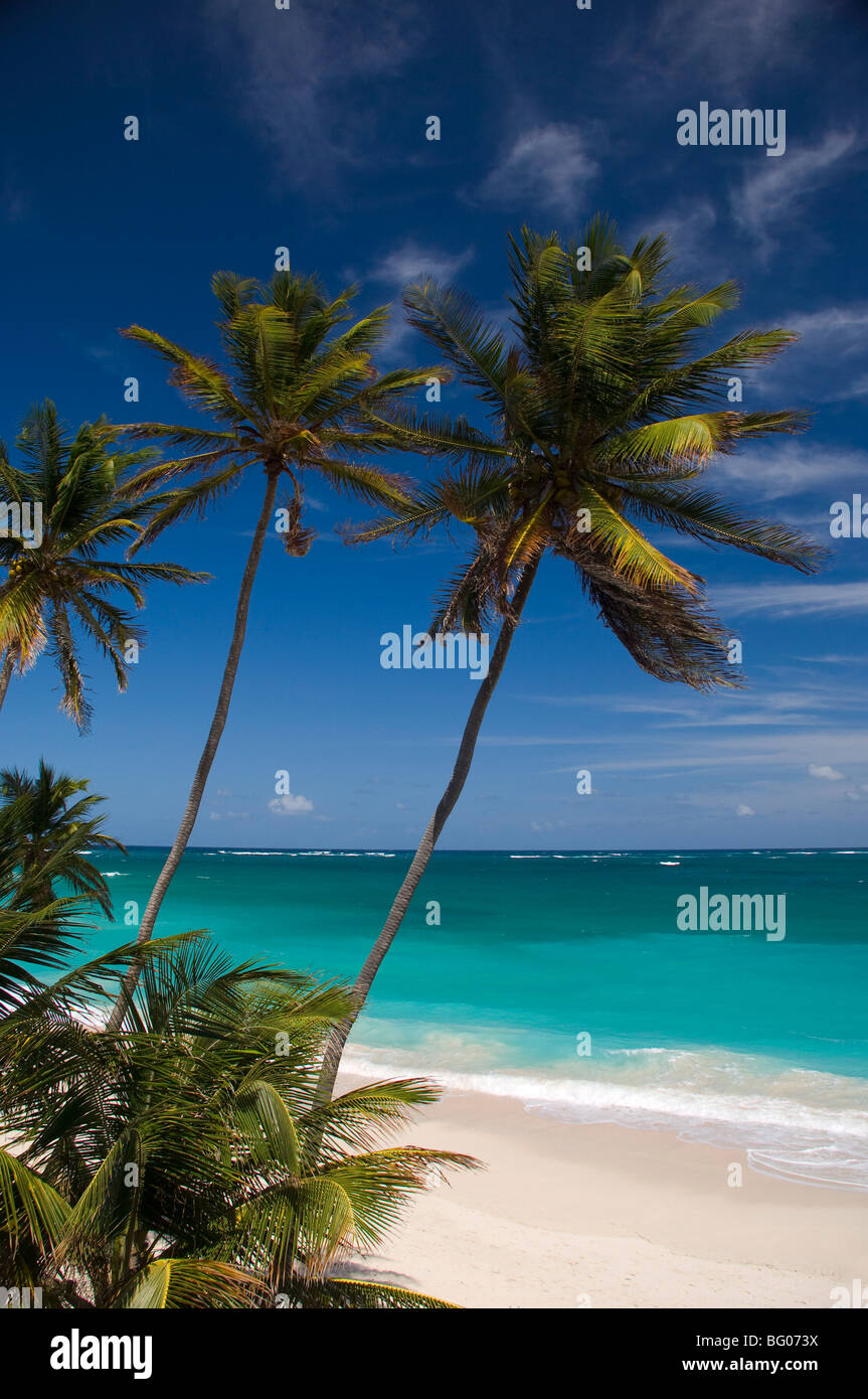 Palme e navigare in fondo alla baia sulla costa orientale di Barbados, isole Windward, West Indies, dei Caraibi e America centrale Foto Stock