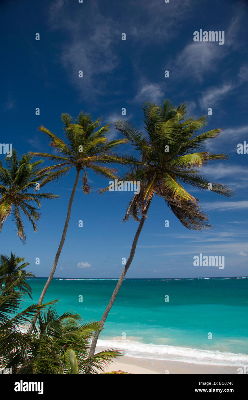 Palme e navigare in fondo alla baia sulla costa orientale di Barbados, isole Windward, West Indies, dei Caraibi e America centrale Foto Stock