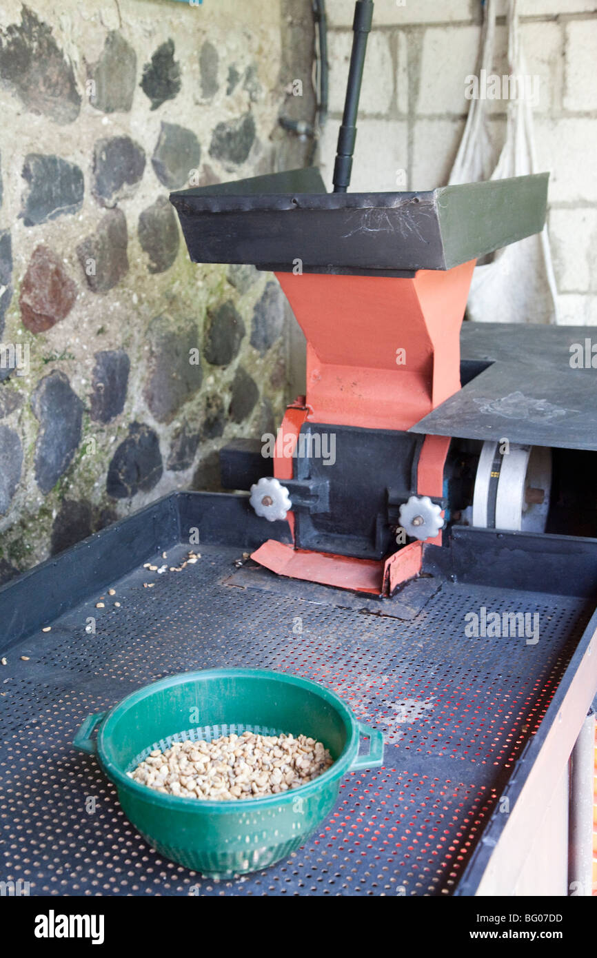 Il pulper macchina sull'azienda di caffè Finca Los Nietos vicino a Antigua Guatemala. Foto Stock