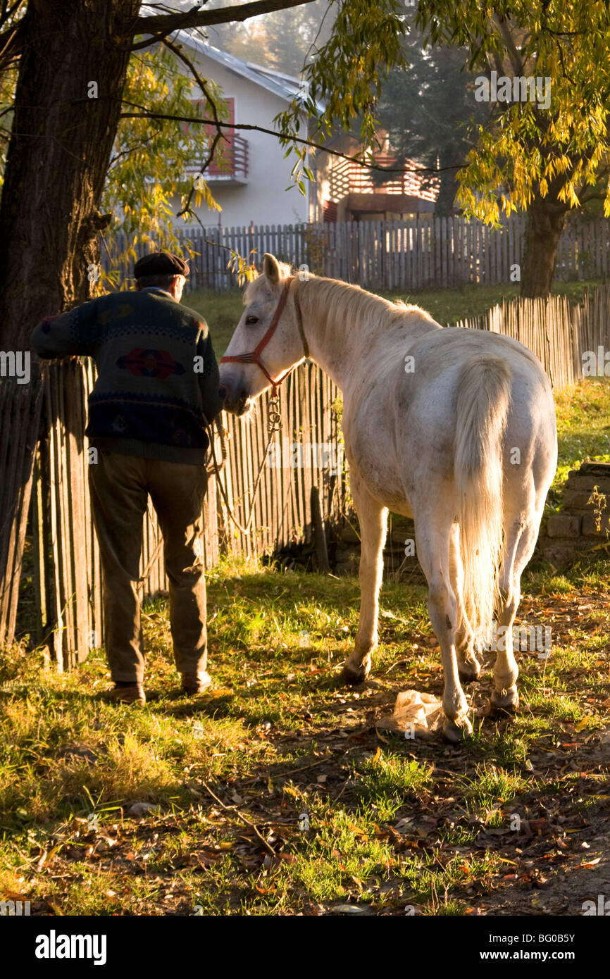 La Romania, Transilvania, un agricoltore e il suo cavallo vicino ad un vecchio di legno Picket Fence Foto Stock