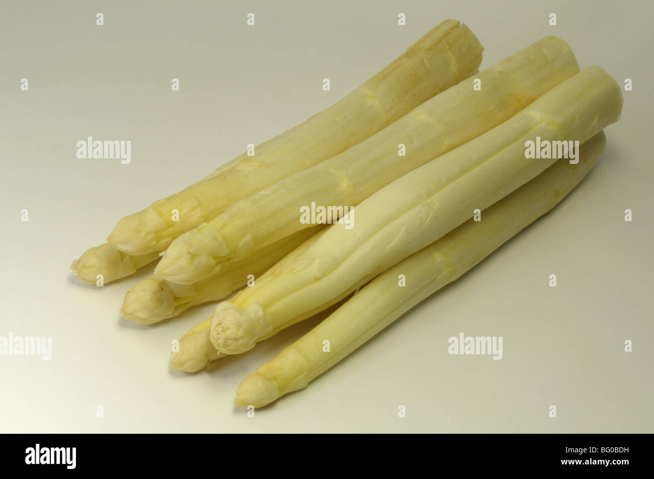 Asparagi bianchi (Asparagus officinalis), giovani germogli, studio immagine. Foto Stock