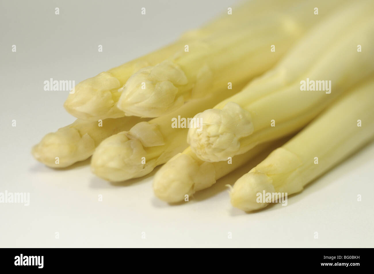 Asparagi bianchi (Asparagus officinalis), giovani germogli, studio immagine. Foto Stock