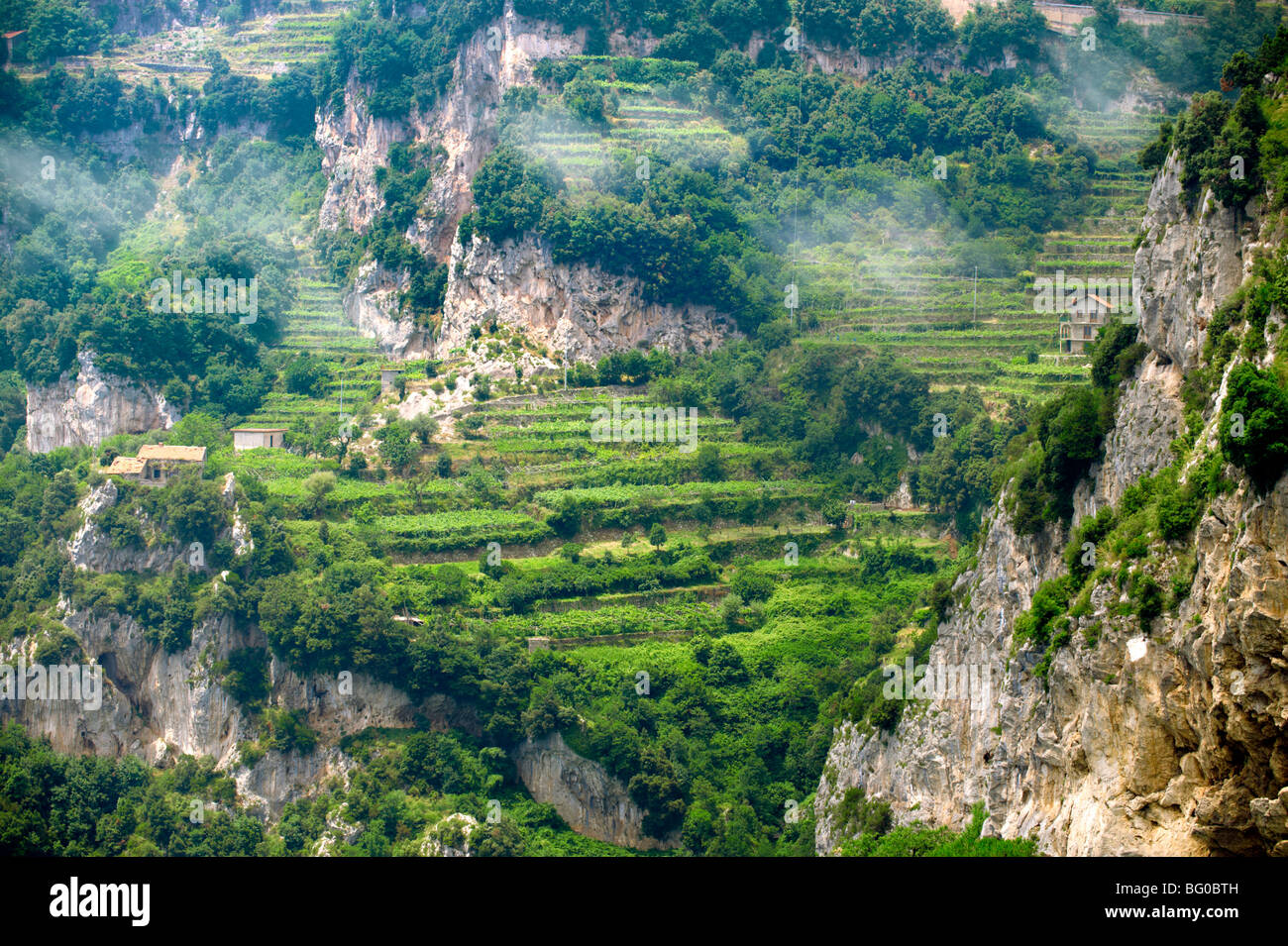 Vigneti di Amalfi nelle alte montagne della costiera amalfitana intervallo Foto Stock