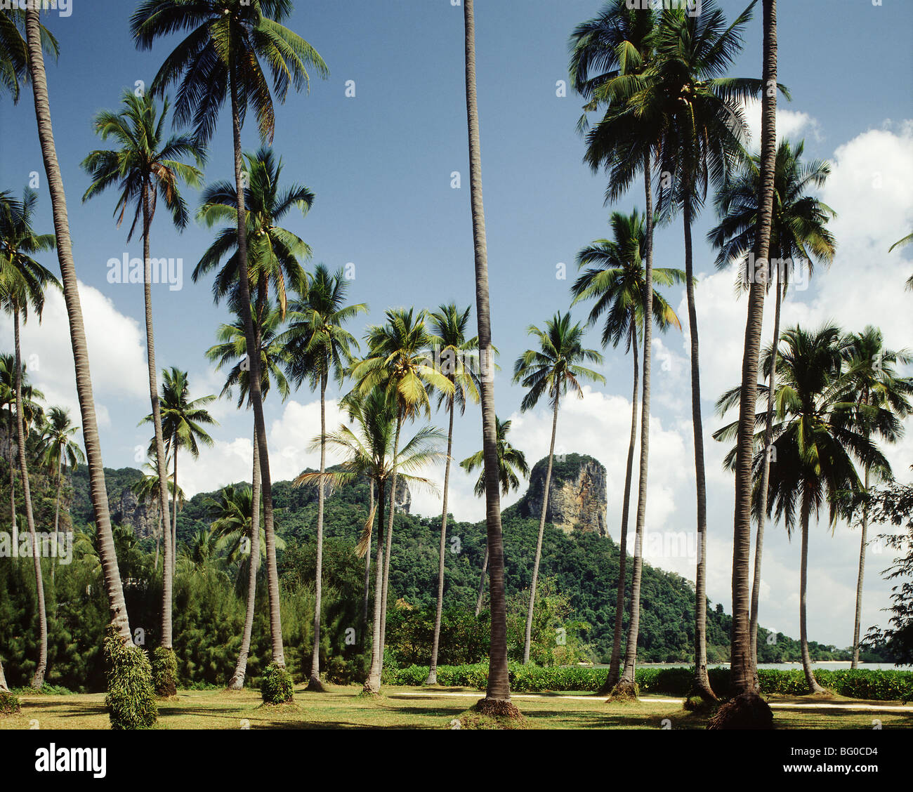 Krabi, Thailandia, Sud-est asiatico, in Asia Foto Stock