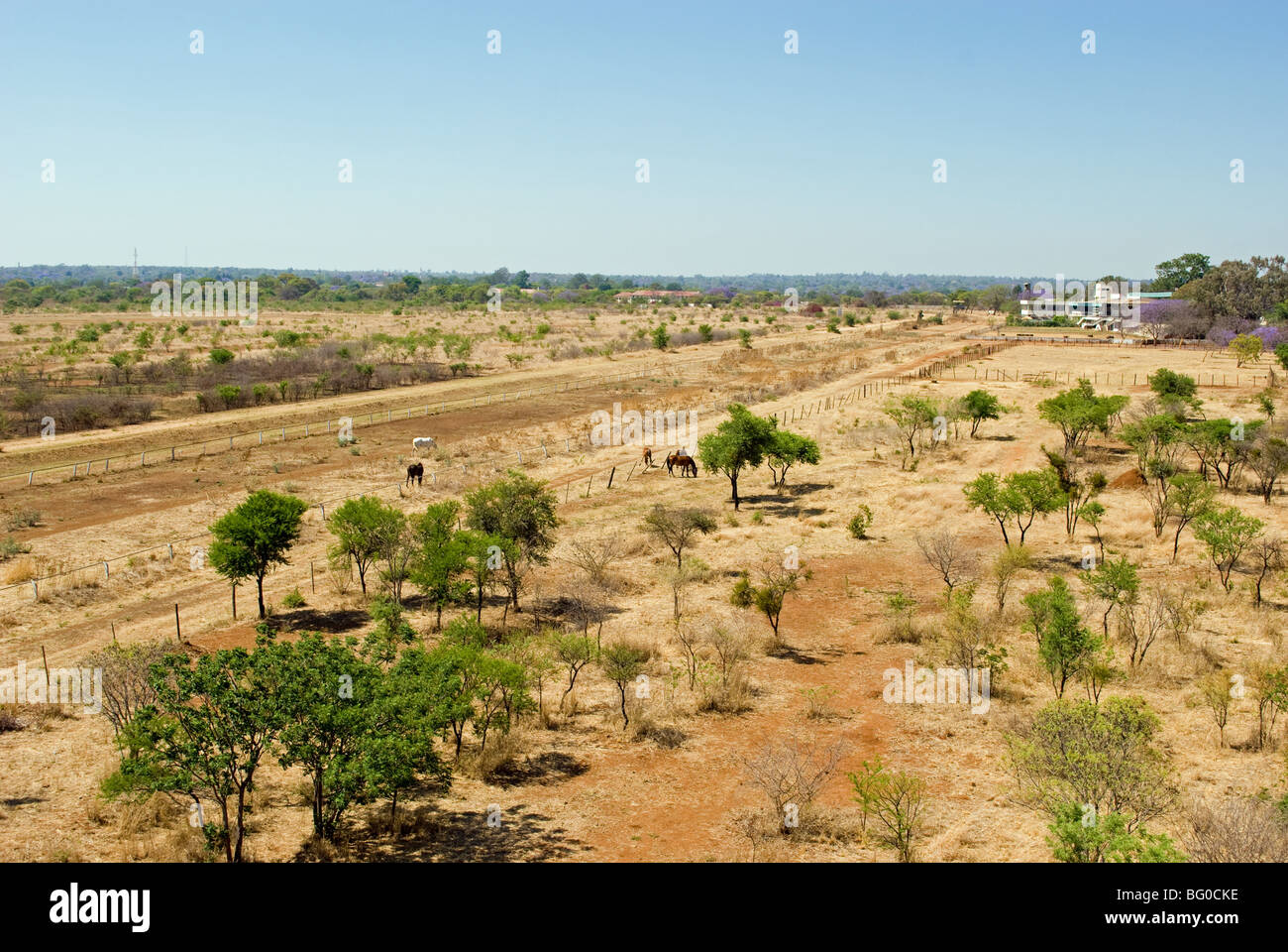 Vista di Ascot Racecourse a Bulawayo, Zimbabwe. Il famoso corso costruito nel 1890 è stato chiuso nel 2001. Foto Stock