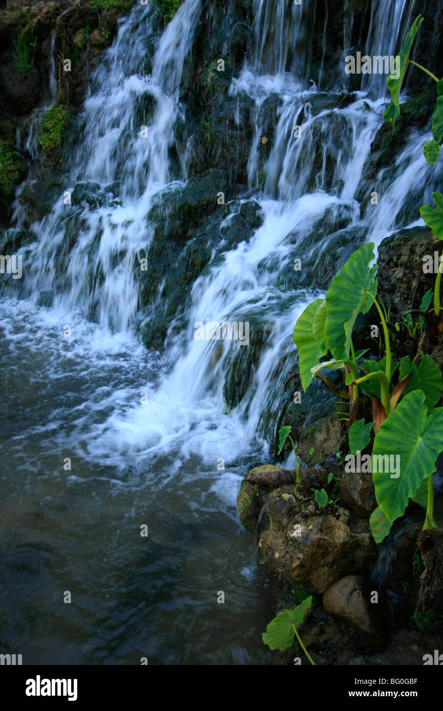 Israele, Galilea superiore, a Hagoshrim Resort Hotel Foto Stock