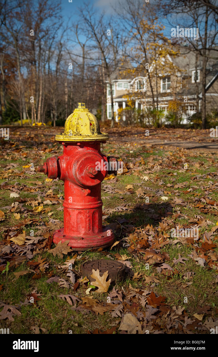 Rosso e giallo idrante di fuoco accanto a un marciapiede nella zona suburbana di illinois cittadina americana in autunno autunno Foto Stock