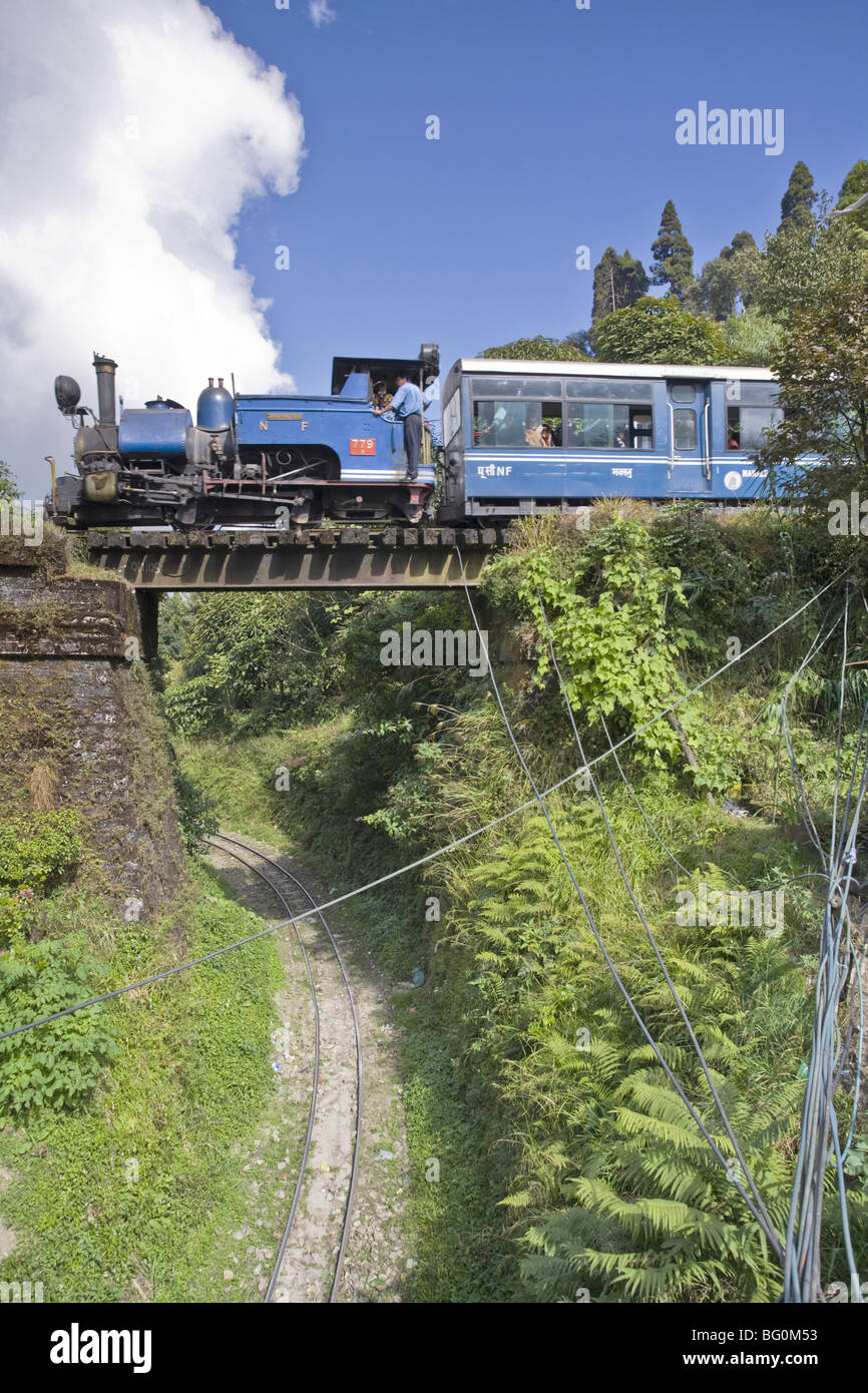 Treno a vapore (Toy Train) del Darjeeling Himalayan Railway, Batasia Loop, Darjeeling, West Bengal, India, Asia Foto Stock