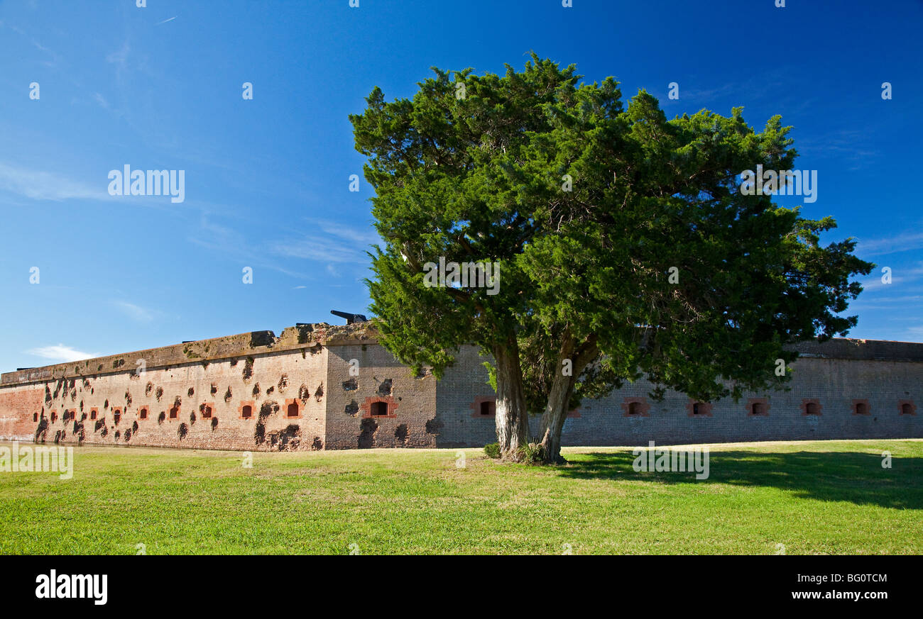 Un lone tree riposa nella parte anteriore del martoriato di artiglieria Fort Pulaski su Tybee Island, Georgia Foto Stock