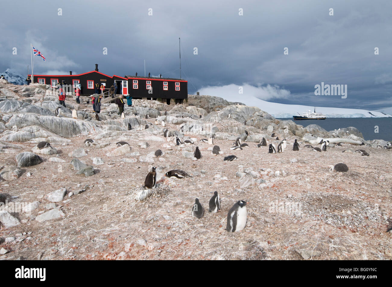 Base britannica e Post Office, Port Lockroy, Penisola Antartica, Antartide, regioni polari Foto Stock